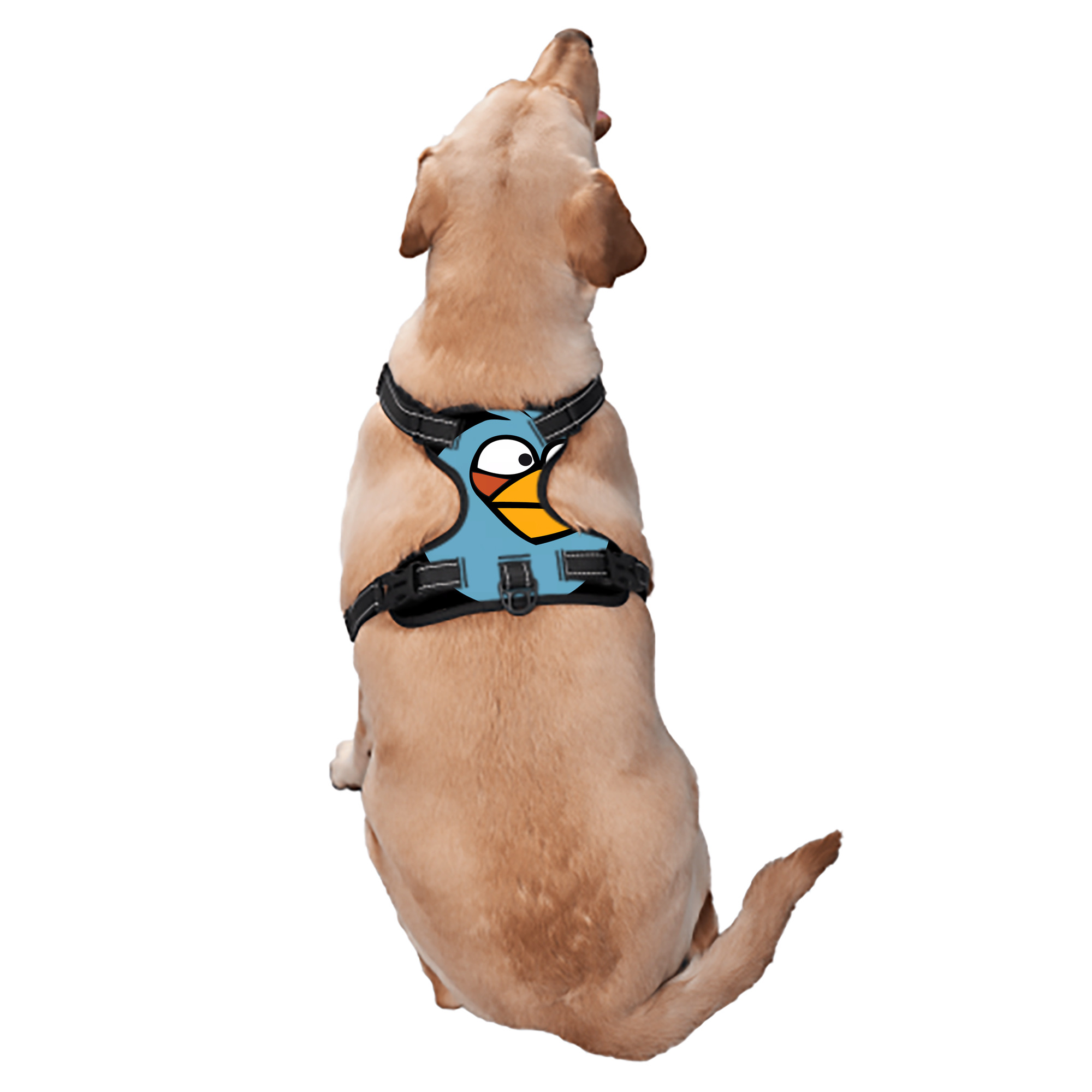 （画像用） Angry Birds アングリーバード ペット用ハーネス